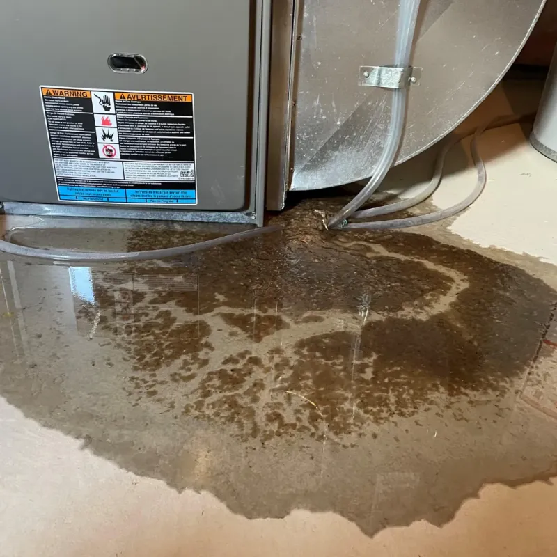 Appliance Leak Cleanup in Coal Run Village, KY