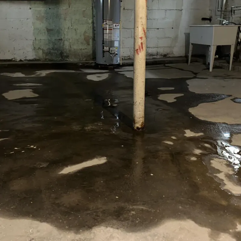 Emergency Water Extraction And Removal in Coal Run Village, KY